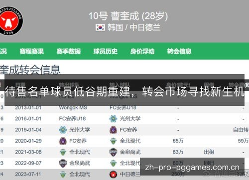 待售名单球员低谷期重建,转会市场寻找新生机 待售名单球员低谷期重建,转会市场寻找新生机